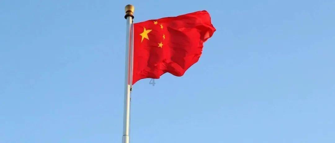 解救金刚鹦鹉